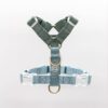 Harnais classique pour chien Hunter Sky