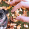 Mr Fisher’s Fish Skins - Friandises Naturelles pour Chiens, Aide au Rescue