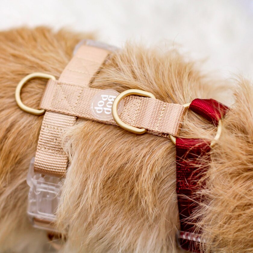 Harnais pour chien classique Rosewood - Promenade en toute élégance et sécurité