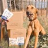 Mr Fisher’s Fish Skins - Friandises Naturelles pour Chiens, Aide au Rescue