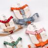 Harnais pour chien classique Desert Dawn