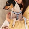 Harnais pour chien en Vichy Blue  Juno