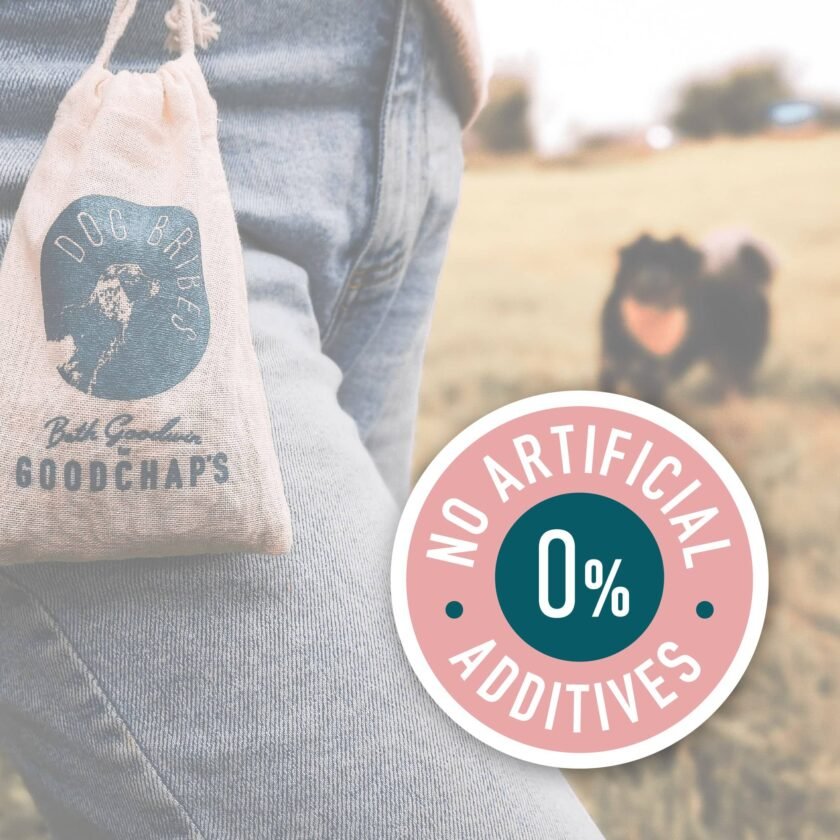 Pack Économique Whitefish Jerky - Produits Naturels à Mâcher pour Chiens