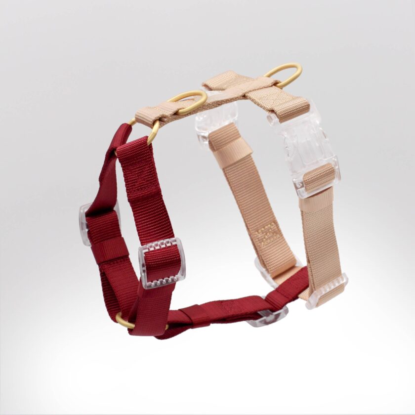 Harnais pour chien classique Rosewood - Promenade en toute élégance et sécurité