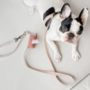 Porte-Sac à Crottes MEMO - Pratique et Discret pour Chiens