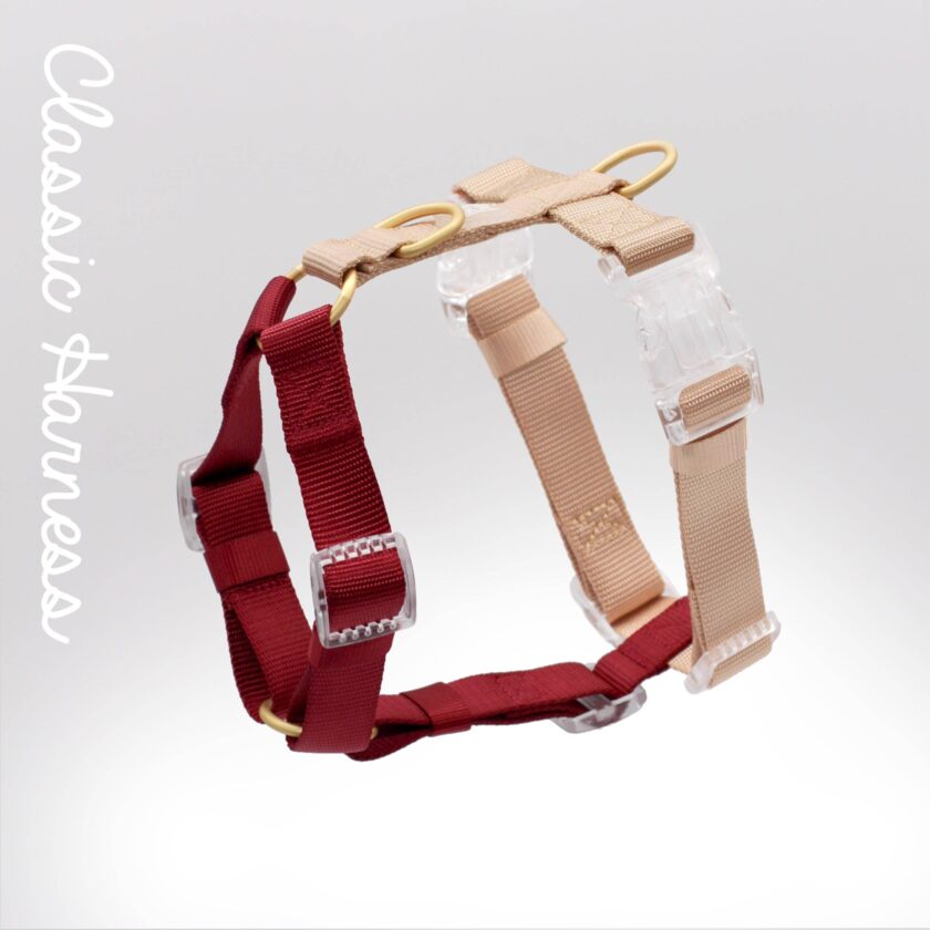 Harnais pour chien classique Rosewood - Promenade en toute élégance et sécurité