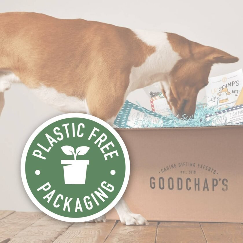 Whitefish Jerky pour chiens - Friandises à mâcher sans plastique