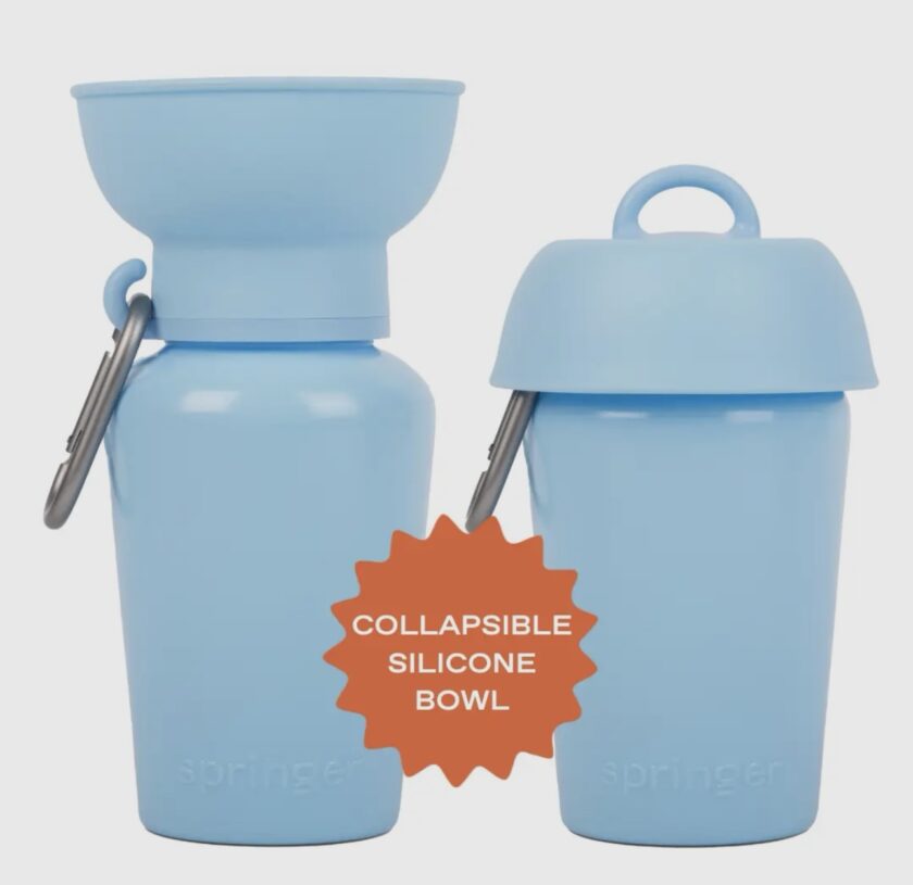 Gourde springer Baby blue