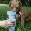 Gourde portable pour chiens Médium 44cl - Springer