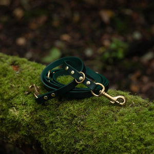 Longue laisse ajustable en cuir | Vert