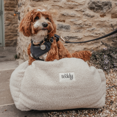 Harnais bouclé midnight