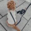 Midnight┃Boucle Poop Porte-Sac