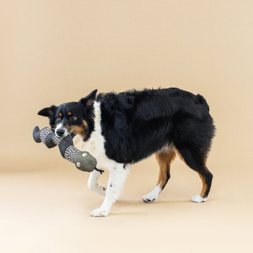 Jouet en toile de coton pour chiens - Le Serpent