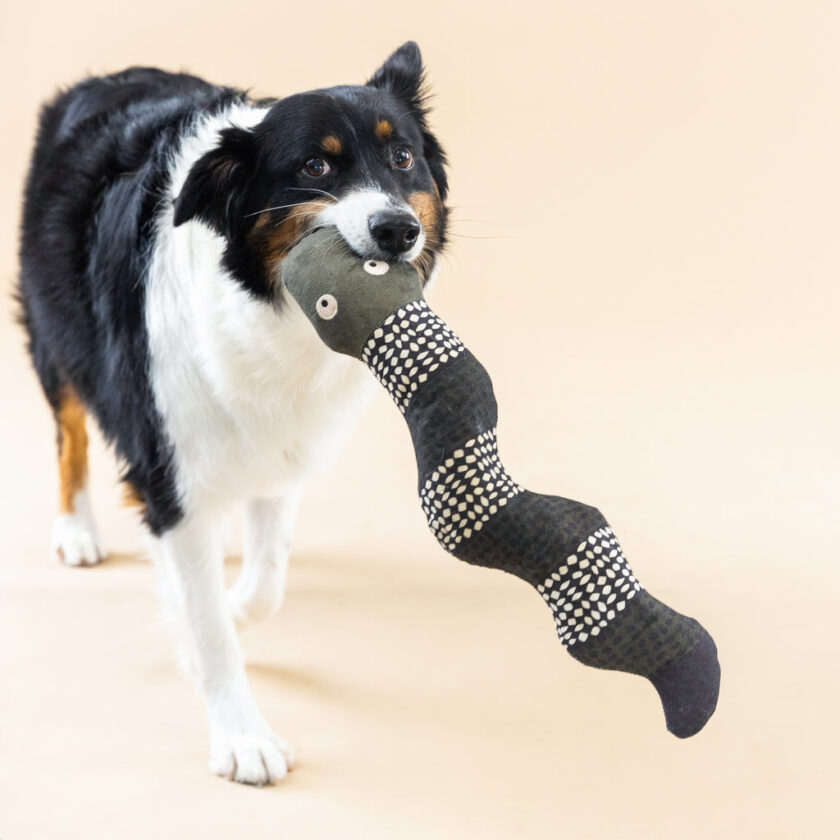 Jouet en toile de coton pour chiens - Le Serpent