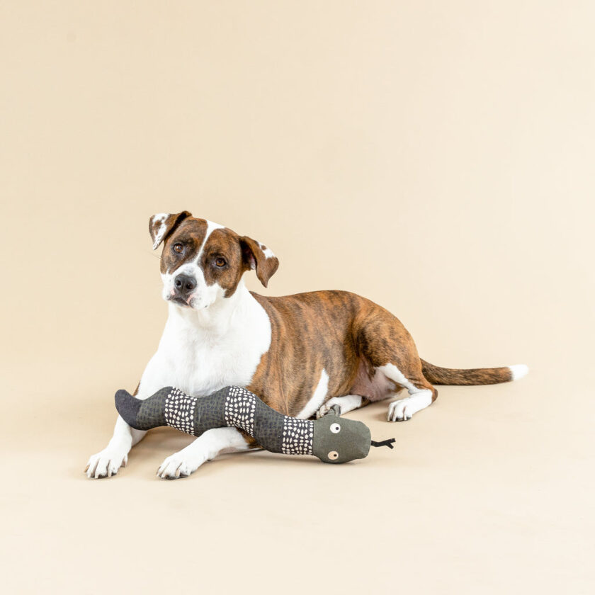 Jouet en toile de coton pour chiens - Le Serpent