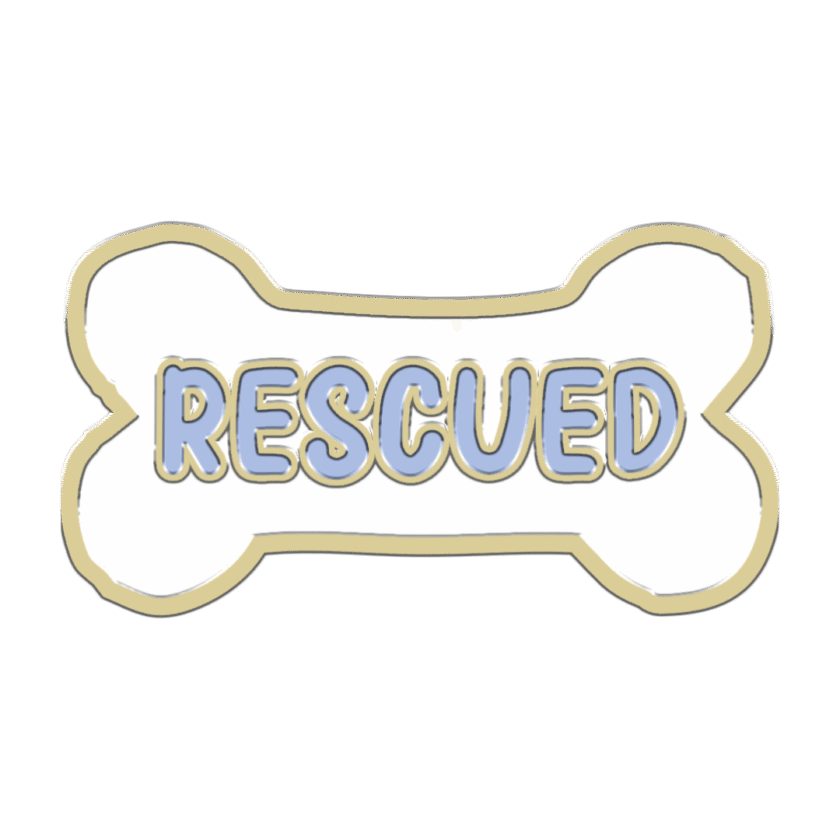 Charms pour chiens - RESCUED