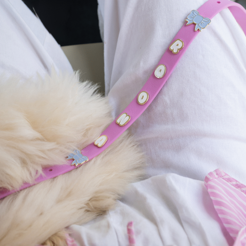 laisse mains libre waterproof rose