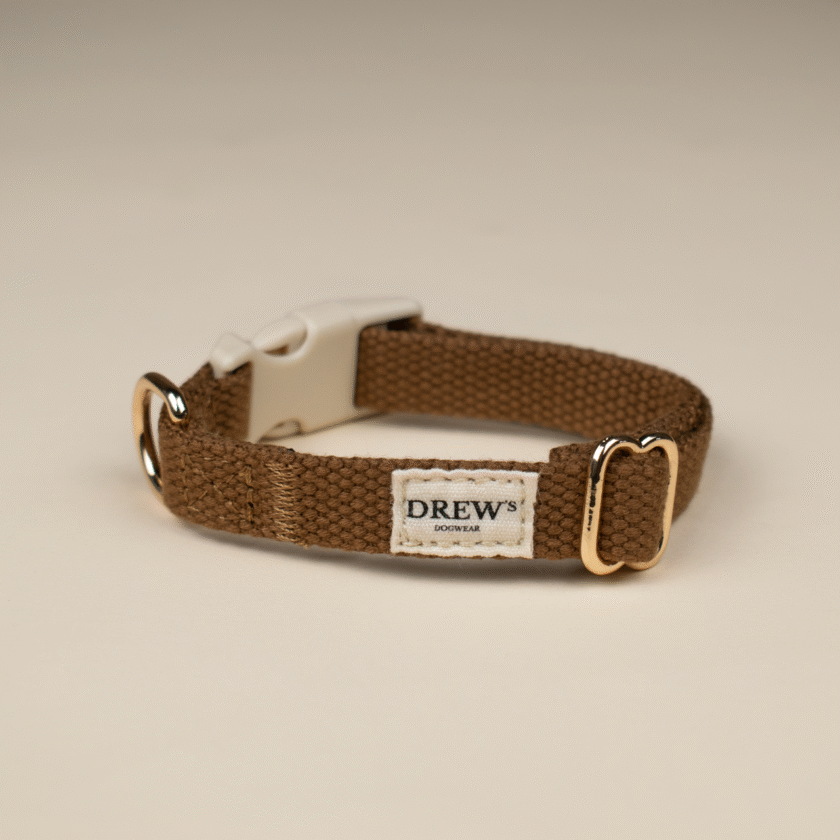 Collier pour chiot - Marron
