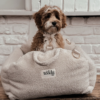 Siège de voiture pour chiens - Tissu bouclé