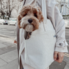 Sac de transport bouclettes ( 2 coloris )