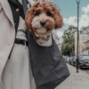 Sac de transport bouclettes ( 2 coloris )