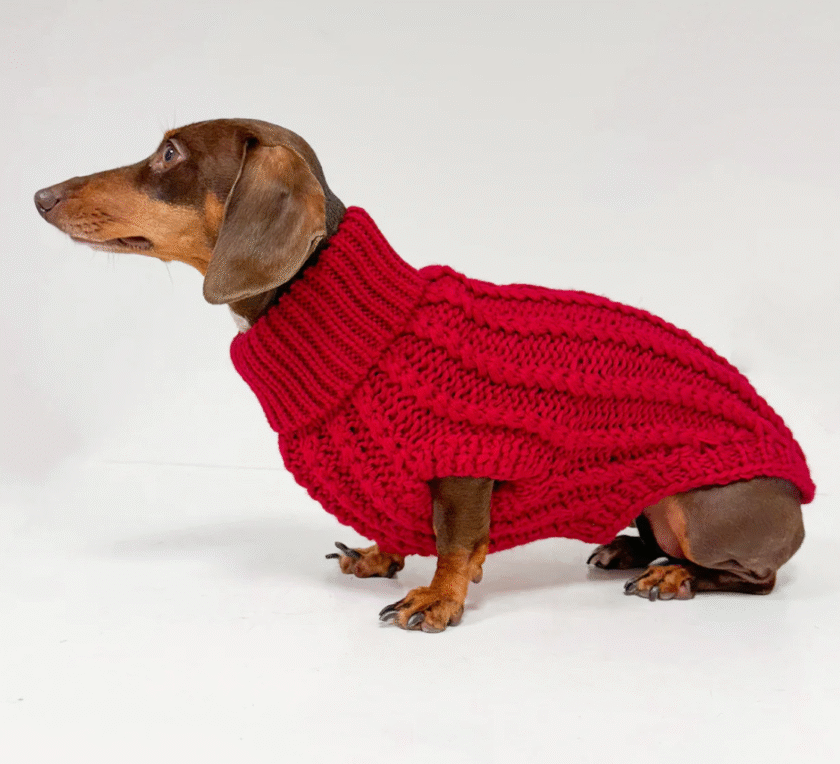 Pull tricoté à la main spécial TECKEL – Rouge