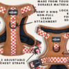 Le harnais Gingerbread