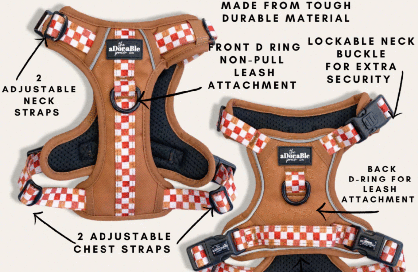 Le harnais Gingerbread
