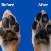 Crème anti-écorchures pour chien