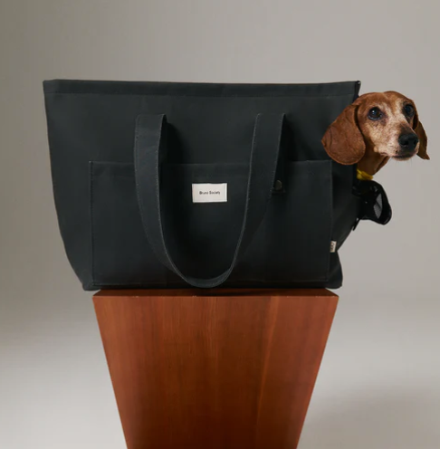 Sac de transport pour chien - Toile cirée