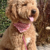 Bandana Vichy rouille