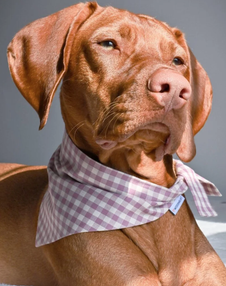 Bandana Vichy baie
