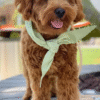 Bandana tour de cou vichy pastel vert