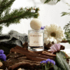 santal reverie parfum pour chien haut de gamme