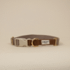 Collier pour chiens - Marron Le cortado
