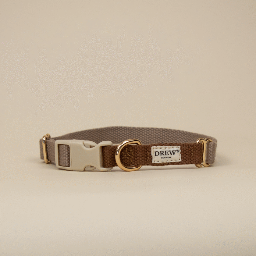 Collier pour chiens - Marron Le cortado