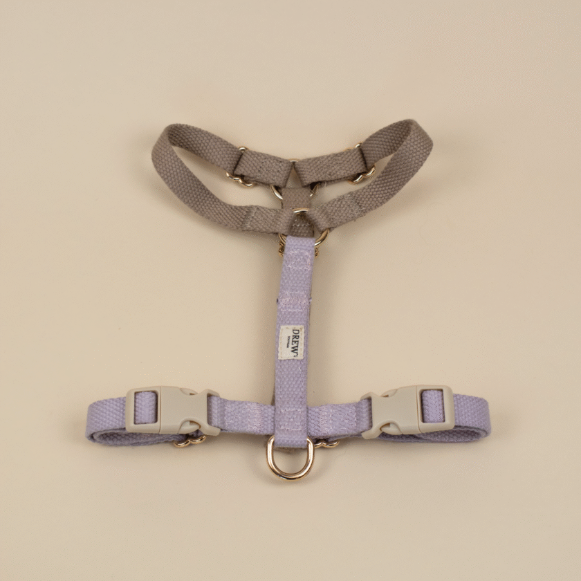 Harnais pour chien et chat - Beige et Lilas