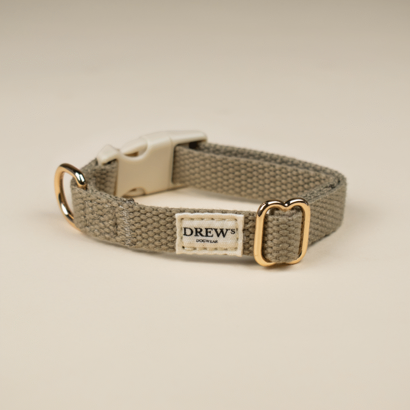 Collier pour chiot - Beige