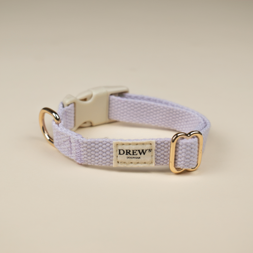 Collier pour chiot - Lilas