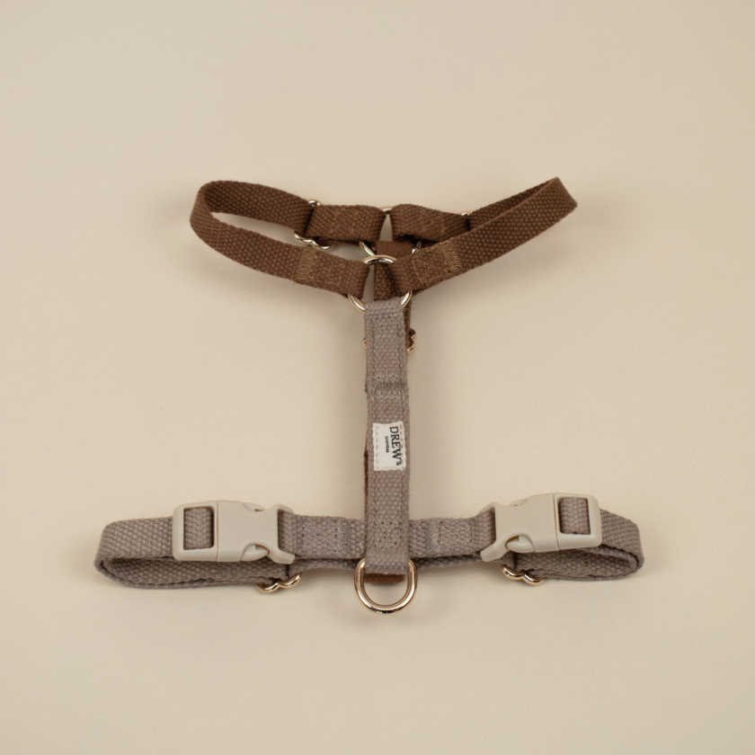 Harnais pour chien et chat - Beige