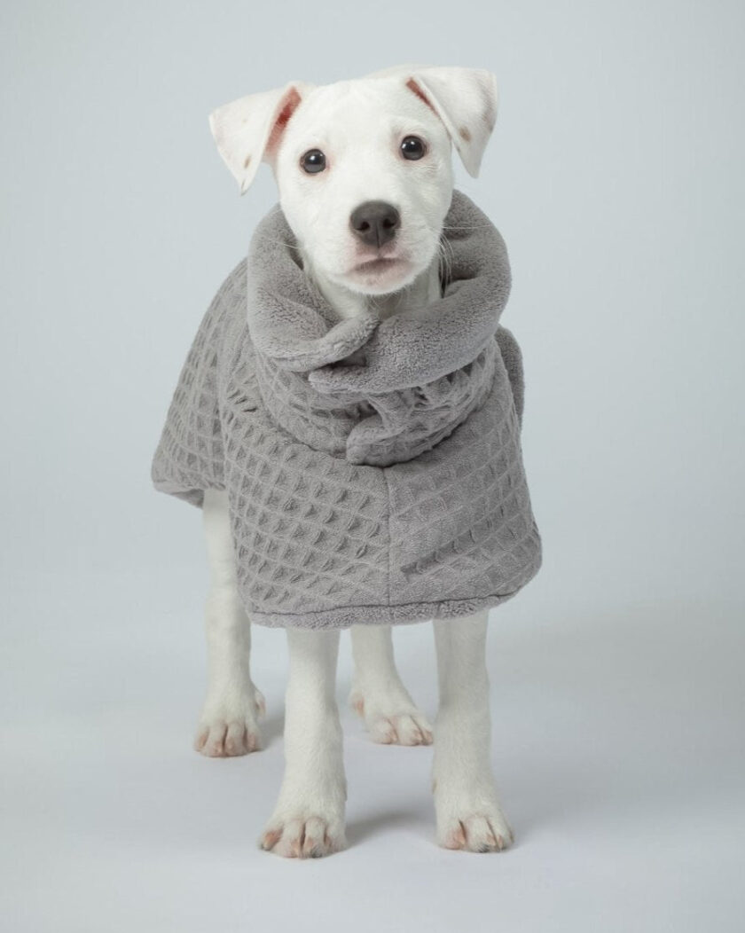 Peignoir pour chien - SPA VERSION