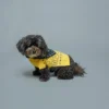 Pull pour chiens 100% laine motif bandana