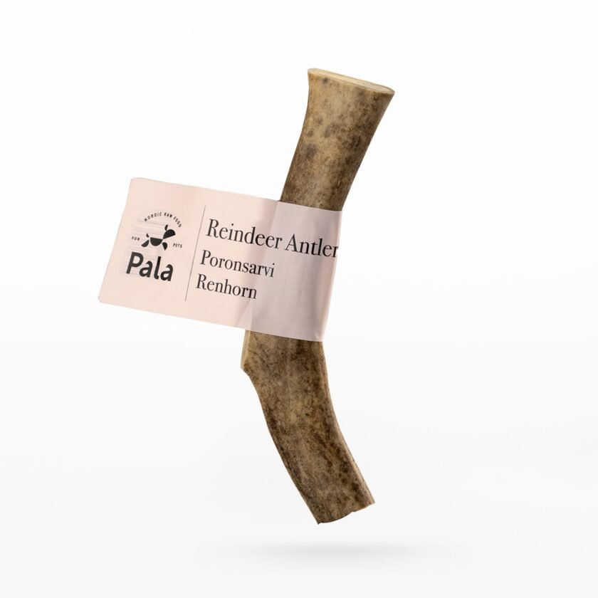 Bois de cerf - Friandise naturelle de mastication