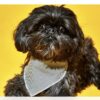 Bandana réversible pour chiens - Léopard/Rayures
