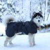 Imperméable réfléchissant pour chien - Noir