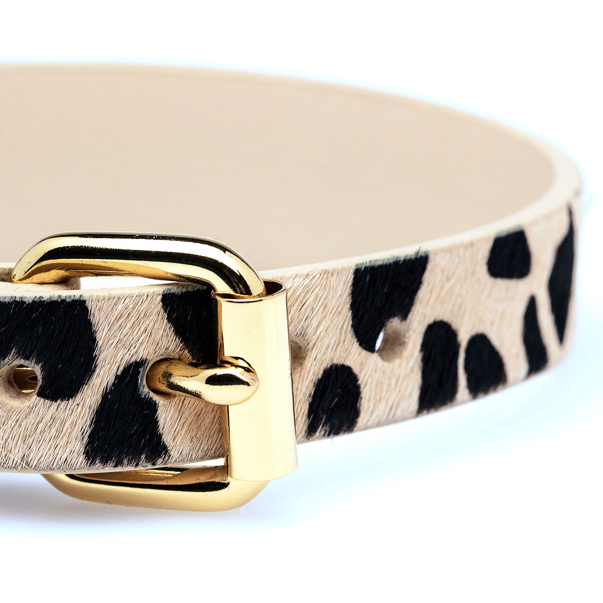 Collier pour chien léopard