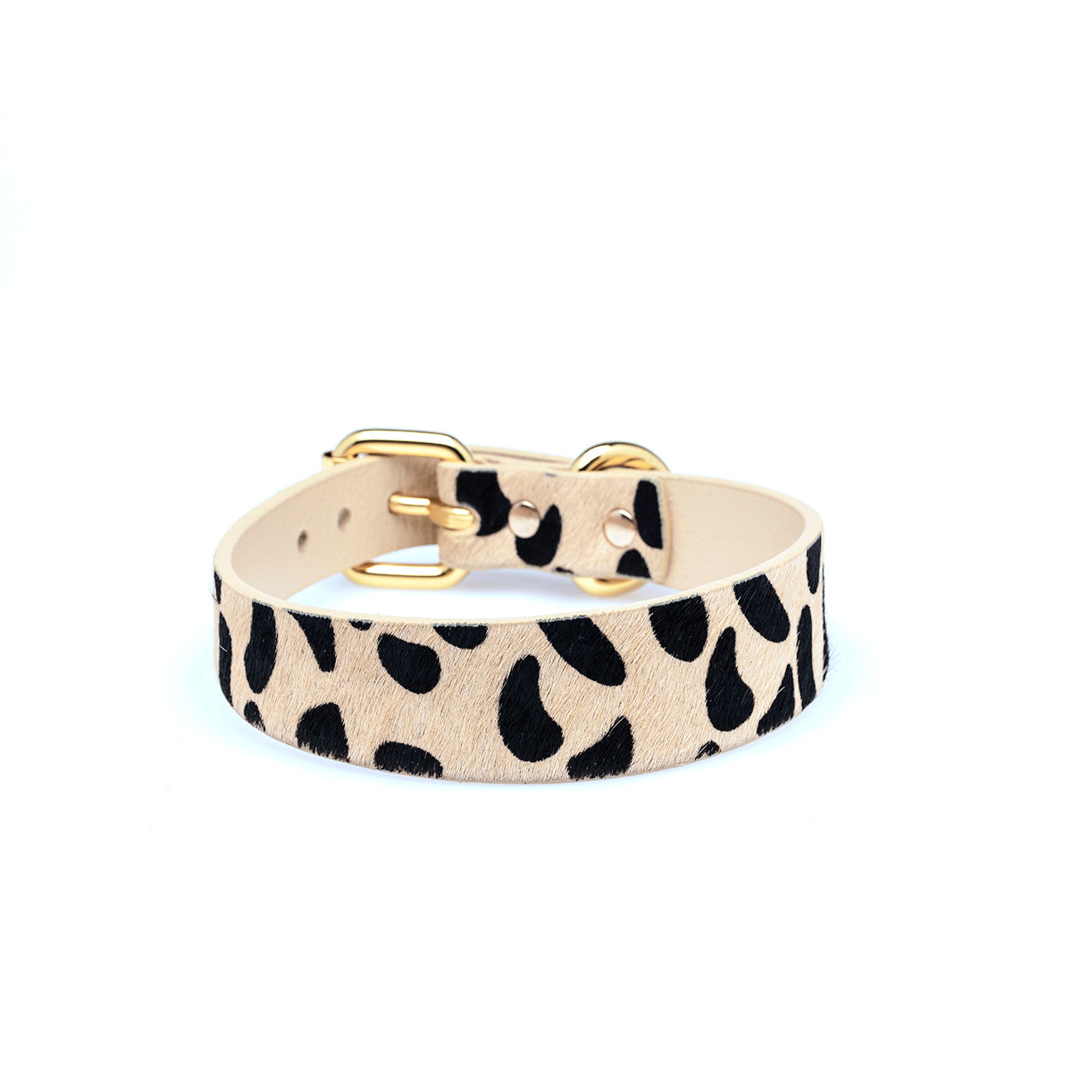 Collier pour chien léopard