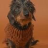 Pull tricoté en laine camel