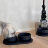 Plateaux pour gamelles