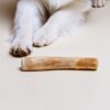 Coffee Chew ( bois à mâcher )